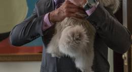 Кадр из фильма "Девять жизней" - 1