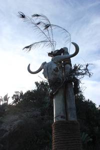 Кадр Проект Динозавр