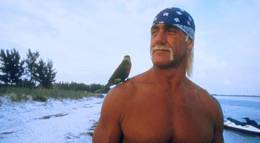 Кадр из фильма "Остров МакКинси" - 1