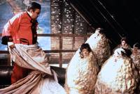 Кадр Познакомьтесь с семьей Эпплгейт