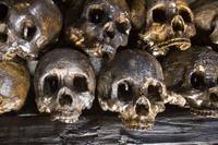 Кадр Следопыт