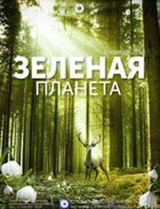 Зеленая Вселенная