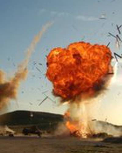 Стив Райли фото