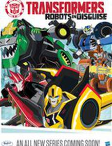 Трансформеры: Скрытые роботы