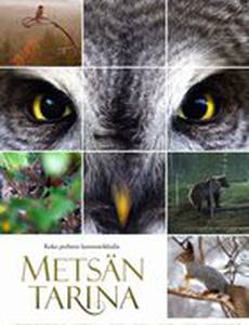 Чудесный лес