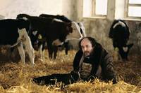 Кадр Трущобные прогулки