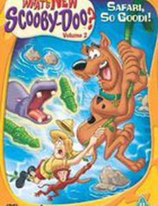 Час Скуби и Скреппи-Ду Паппи