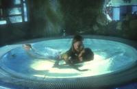 Кадр Бассейн