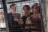 Кадр Коллекционер 2