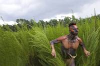 Кадр Новый Свет