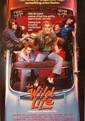 Без тормозов