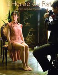 Крыса в траве