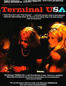 Терминал США