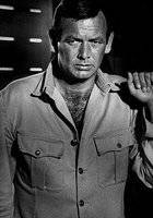 Дэвид Джэнссен