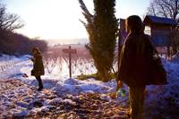 Кадр День всех святых