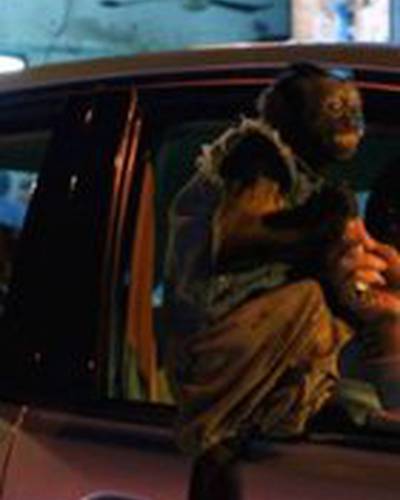 Кристал Манки фото