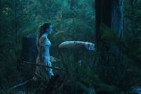 Кадр Однажды в стране чудес