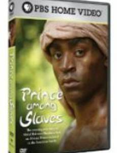 Prince Among Slaves