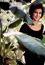 Рэйчел Тикотин фото