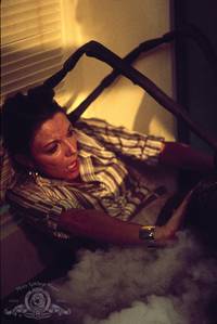 Кадр Империя муравьев