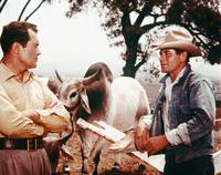 Кадр Американец