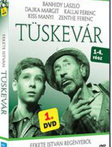 Терновая крепость (мини-сериал)