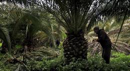 Кадр из фильма "Римская кольцевая дорога" - 2