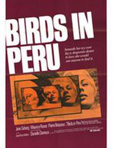 Птицы летят умирать в Перу