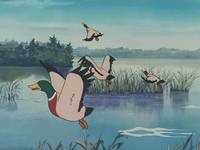 Кадр Катри, девочка с лугов