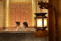 Кадр Ледяной цветок