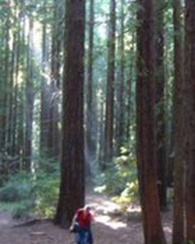 Роланд Тек фото