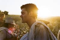 Кадр На дороге