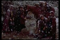 Кадр Властелин колец: Братство кольца