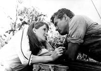 Кадр К востоку от рая