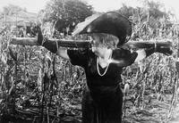 Кадр Осужденные на одиночество