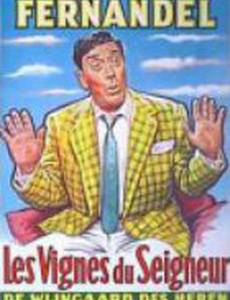 Виноградники сеньора