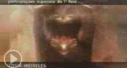 Вступительные титры