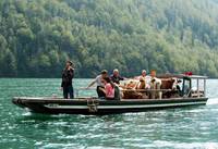 Кадр Die Jagd nach der heiligen Lanze