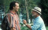 Кадр А как же Боб?