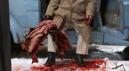 Кадр из фильма "Безумец" - 1