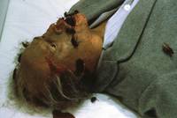 Кадр Калейдоскоп ужасов