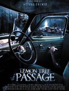 Перевозка лимонного дерева