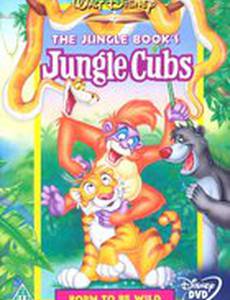 Детеныши джунглей