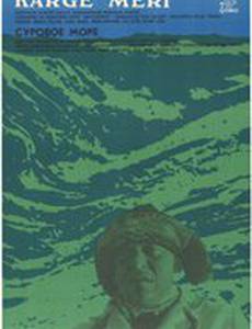 Суровое море