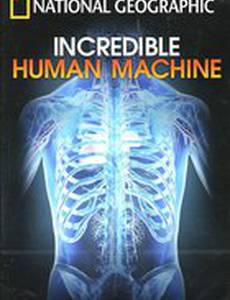 Невероятное тело человека