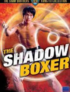 Теневой боксёр