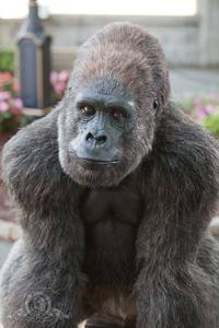 Кадр Охранник зоопарка