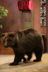 Кадр Счастливы вместе