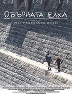 Перевернутая елка