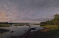 Кадр И на камнях растут деревья